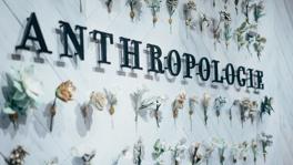 Imagen principal de la ficha